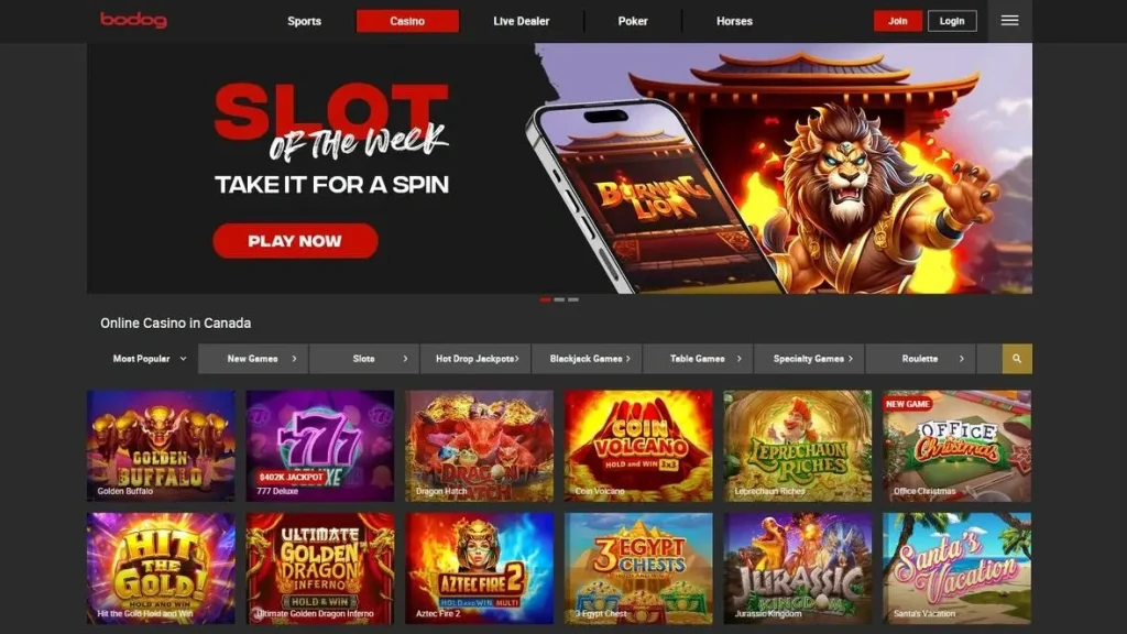 Bodog casino homepage